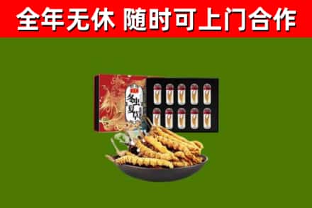 常山县回收冬虫夏草价格