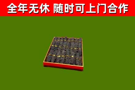 常山县烟酒回收海参.jpg